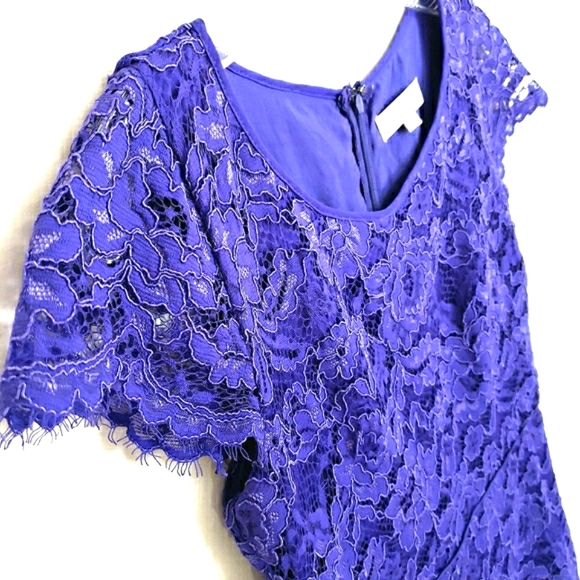 Loft Purple Lace Sheath Dress Scalloped Hem - Picture 5 of 11